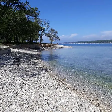 Glicine * Poreč